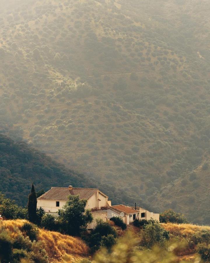 Finca Serrato Colmenar Εξωτερικό φωτογραφία