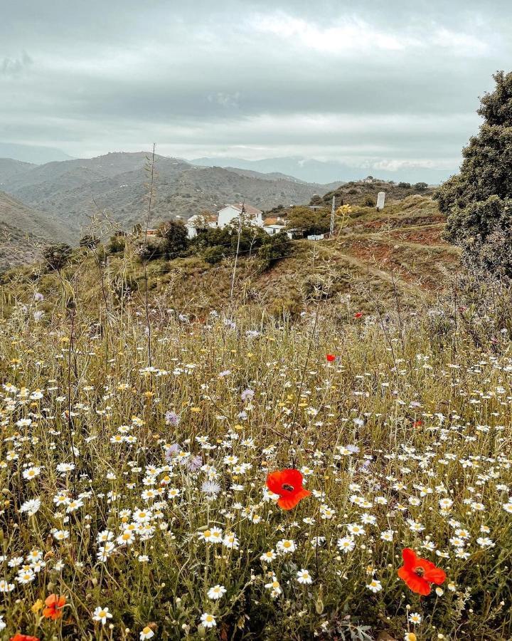 Finca Serrato Colmenar Εξωτερικό φωτογραφία